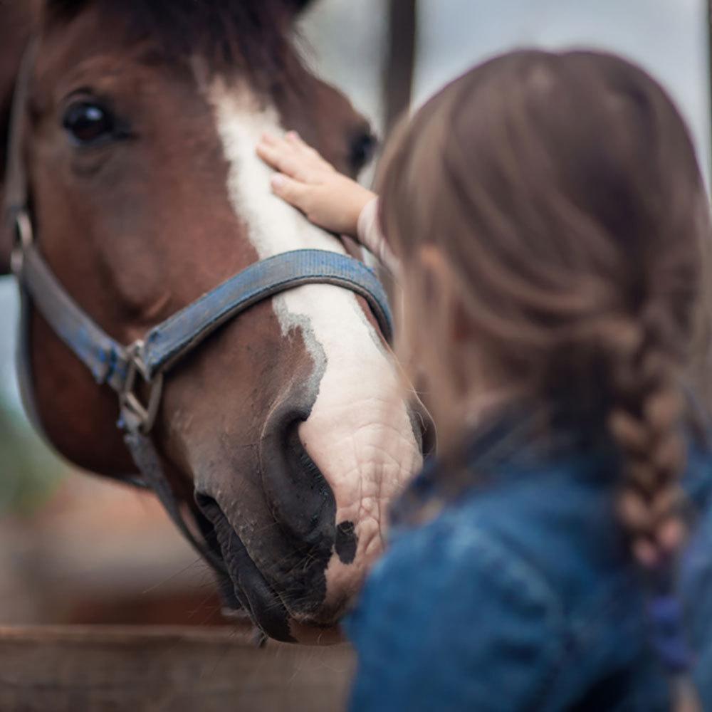 kraft-herz_reitschule-kinder-vorschule-03